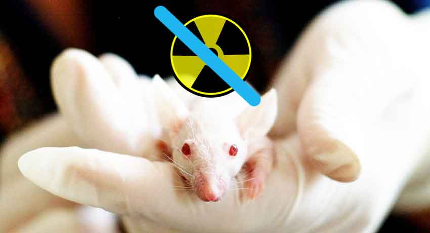 Лечение псориаза АСД фракцией 2 и 3 — Dermatox.ru